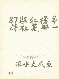 87版红楼梦起诗社是哪一集