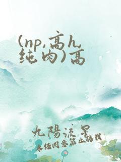 (np,高h,纯肉)高