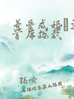 惹爱成婚·染指首席总裁
