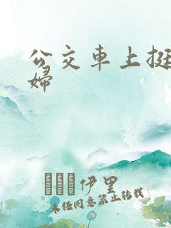 公交车上挺进少妇
