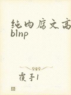 纯肉腐文高h blnp