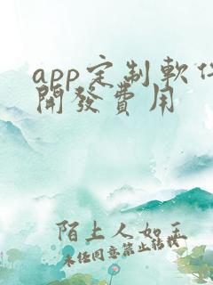 app定制软件开发费用