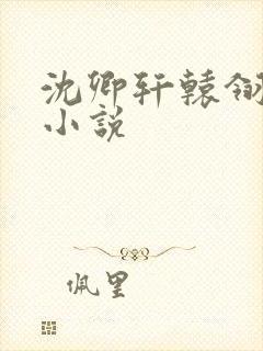 沈卿轩辕翎原著小说