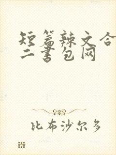 短篇辣文合集第二书包网