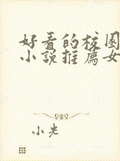好看的校园甜宠小说推荐女追男