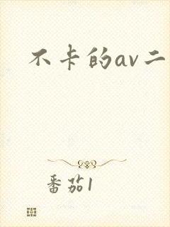 不卡的av二区