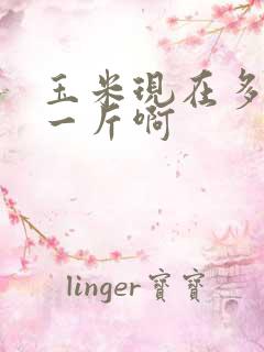 玉米现在多少钱一斤啊