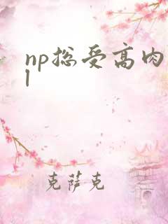 np总受高肉bl