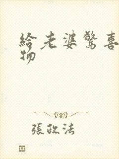 给老婆惊喜的礼物