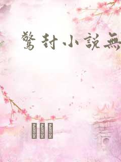 惊封小说无删减