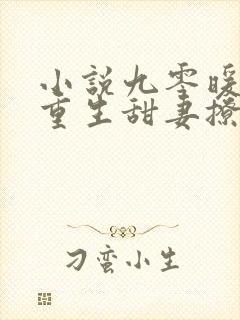 小说九零暖婚:重生甜妻撩夫忙