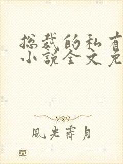 总裁的私有宝贝小说全文免费阅读