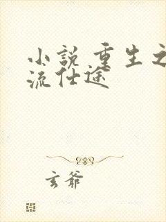小说 重生之风流仕途