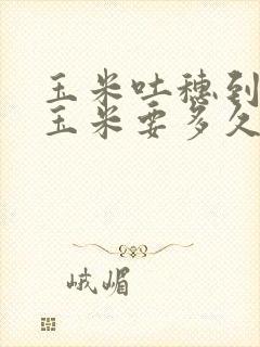 玉米吐穗到吃嫩玉米要多久