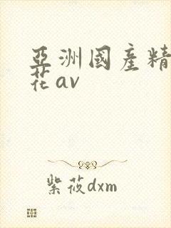 亚洲国产精品探花av