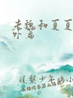 老魏和夏夏的番外篇
