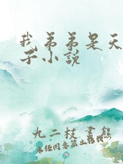 我弟弟是天选之子小说