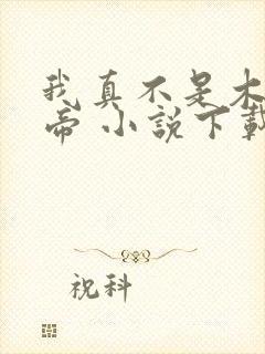 我真不是木匠皇帝 小说下载