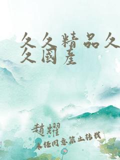久久精品久久久久国产