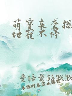 萌宝来袭总裁爹地宠不停
