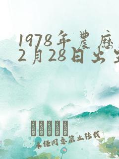 1978年农历2月28日出生命理