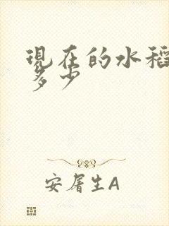 现在的水稻亩产多少