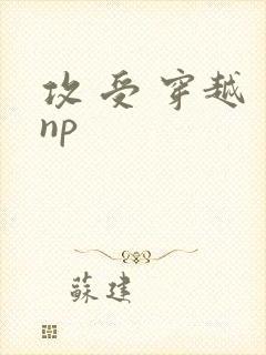 攻 受 穿越 np