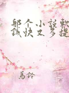 那个小说软件赚钱快又多提现快