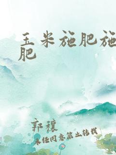 玉米施肥施什么肥