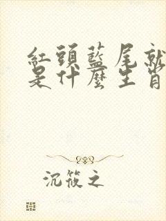红头蓝尾就是它是什么生肖