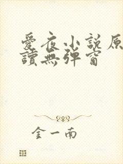 爱夜小说原文阅读无弹窗