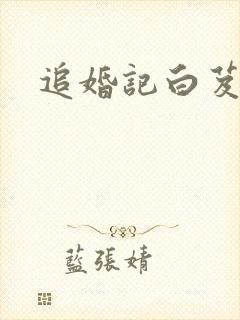 追婚记白芨