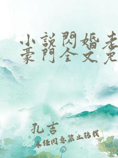 小说闪婚老公是豪门全文免费阅读