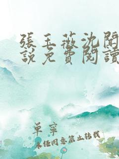 张玉薇沈闻天小说免费阅读最新章节
