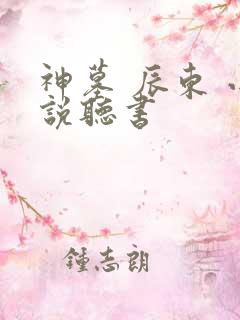 神墓 辰东 小说听书