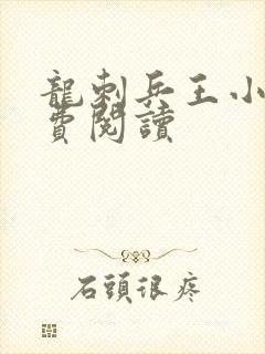 龙刺兵王小说免费阅读