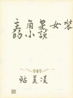 主角是女装大佬的小说