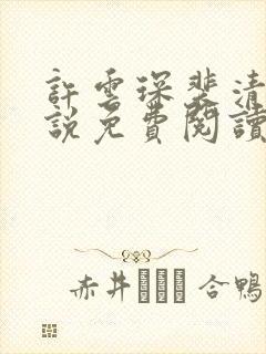 许云琛裴清欢小说免费阅读无弹窗