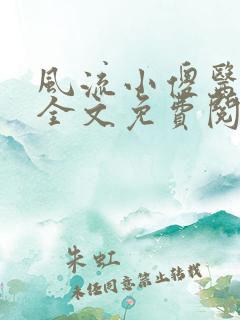 风流小傻医小说全文免费阅读