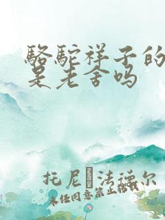 骆驼祥子的作者是老舍吗