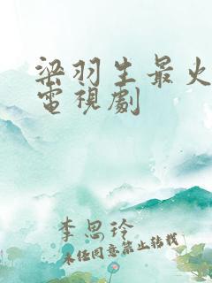 梁羽生最火十部电视剧
