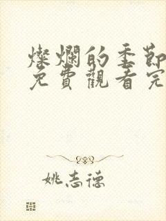 灿烂的季节全集免费观看完整版