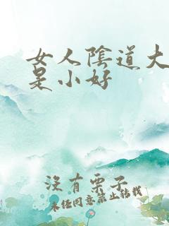 女人阴道大好还是小好