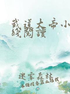 武道大帝小说在线阅读
