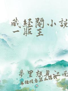 藏经阁小说网第一版主