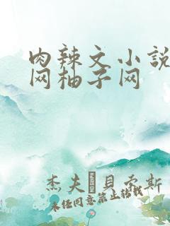 肉辣文小说书包网柚子网 肉辣文小说书包网柚子网