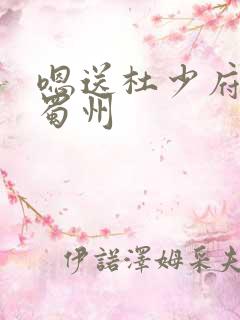嗯送杜少府之任蜀州