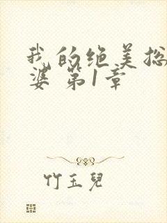 我的绝美总裁老婆 第1章