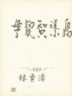 母狗知道自己生了几只小狗吗