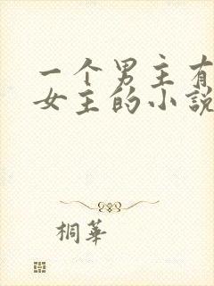 一个男主有很多女主的小说